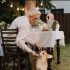 How long can Dogs go without Food