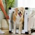 How to become a Dog Trainer