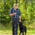 Can Dogs Eat Blueberries?