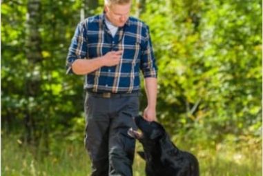 How to Train a Dog to Speak?