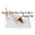 How to Treat Cherry Eye in Dogs Without Surgery