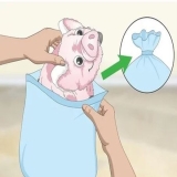 How to Wash a Pillow Pet