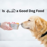 Is 4 Health a Good Dog Food?