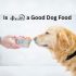 Is Taste of the Wild Good Dog Food?