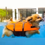 Little Dog Life Jackets