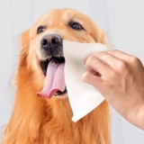 Pet Wipes for Dogs