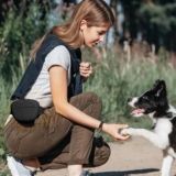 Treat Pouches Training Dogs