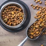 What is Chicken Meal in Dog Food?