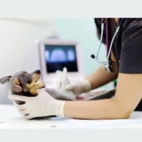 What is a Pet Scan?