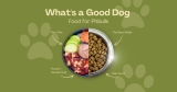 What’s a Good Dog Food for Pitbulls
