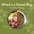 How to Cure Separation Anxiety in Dogs